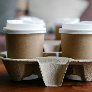 Biodegradable containers